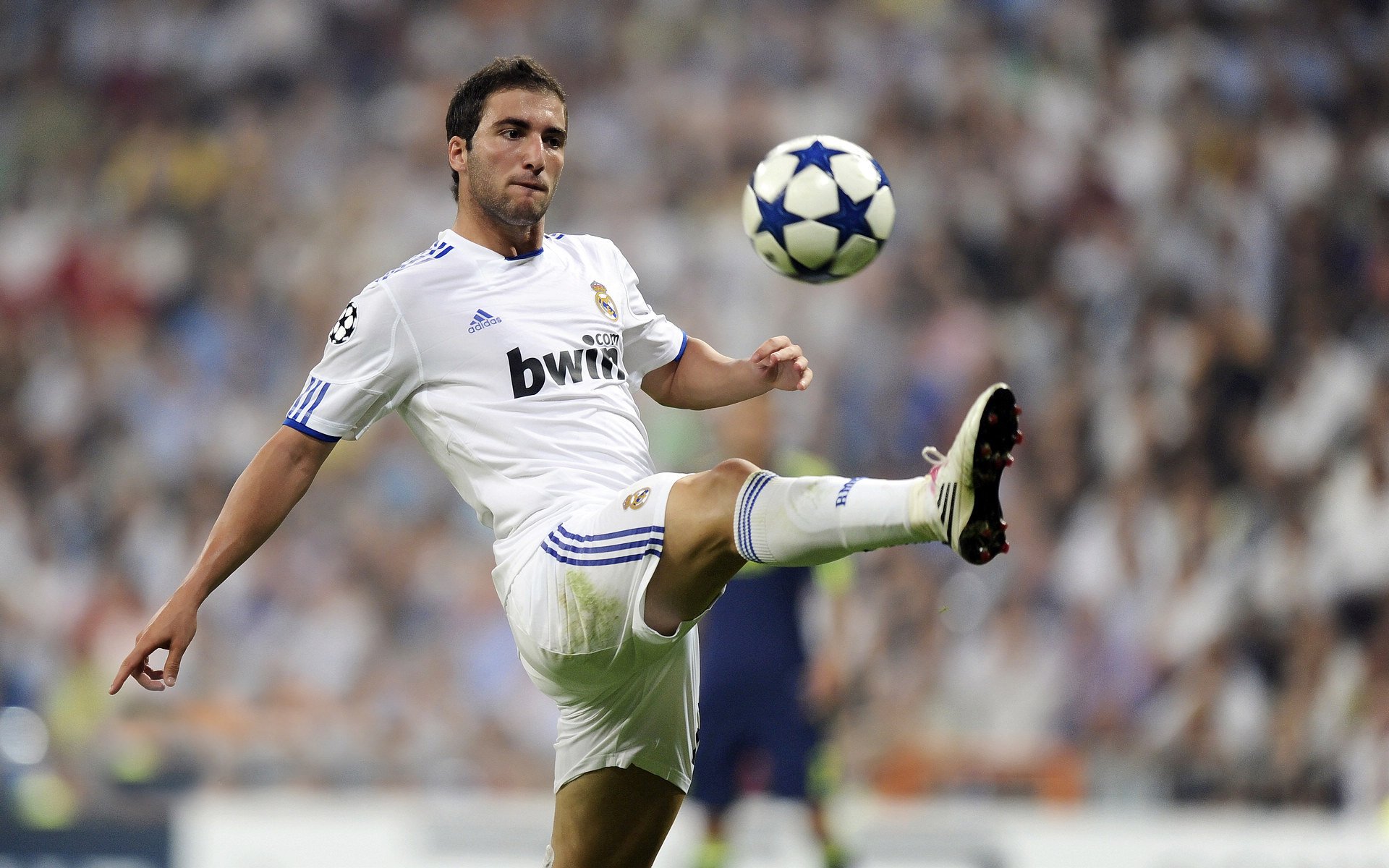 传奇私房菜：那些年NBA明星的篮球秘笈，nba篮球明星自传